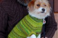 Dog Sweaters